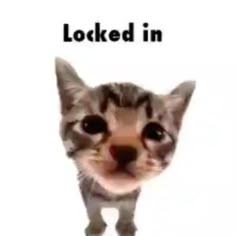 Avatar von forggaa