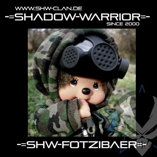 Avatar of SHW-FotziBaer